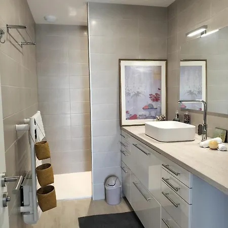 Cosy Lodge Gite Appartement Meuble City Break Toulouse Exterior photo